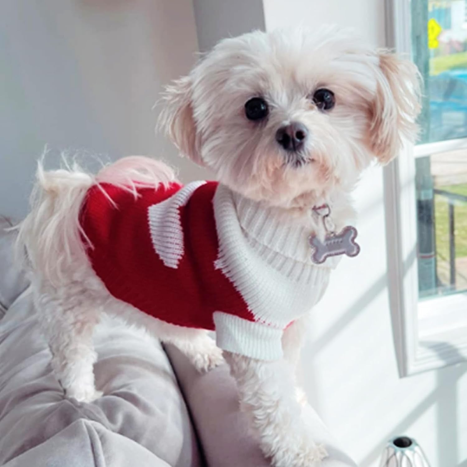 Pet Dog Sweaters Classic Knitwear Turtleneck Winter Warm Puppy Clothing Cute Strawberry and Heart Doggie Sweater (Red2, Medium)
