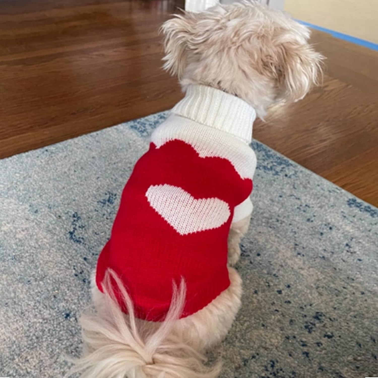 Pet Dog Sweaters Classic Knitwear Turtleneck Winter Warm Puppy Clothing Cute Strawberry and Heart Doggie Sweater (Red2, Medium)