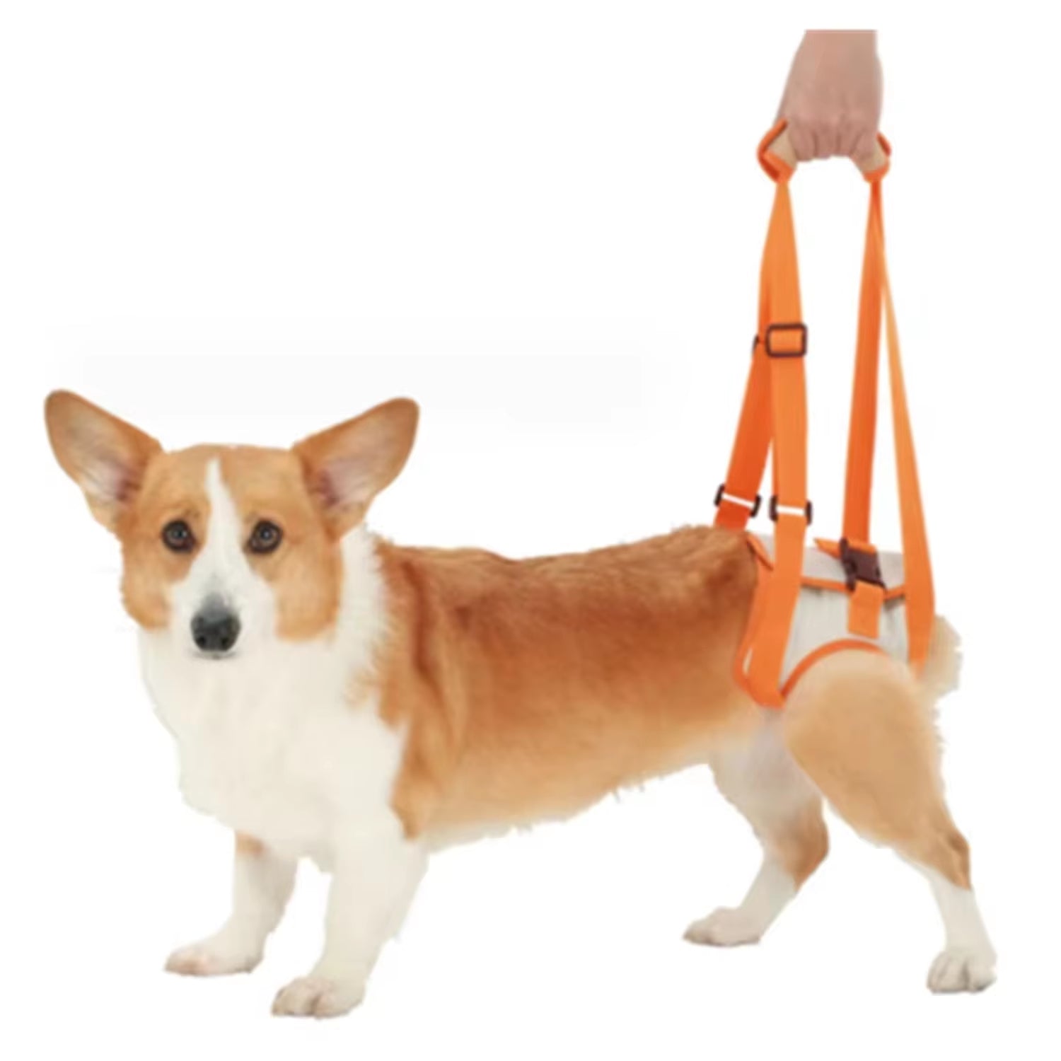 Adjustable Dog Sling Back Legs Support Pet Accessories Canine Aid and Ligament Rehabilitation Dog Lift Harness