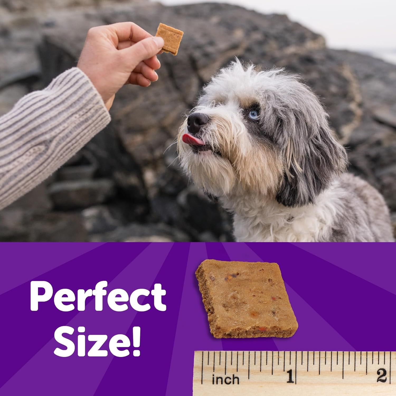 Rewarding Life Dog Treats, Training Treat, Grain Free, Soft Chicken & Lamb (6 Ounce Bag)