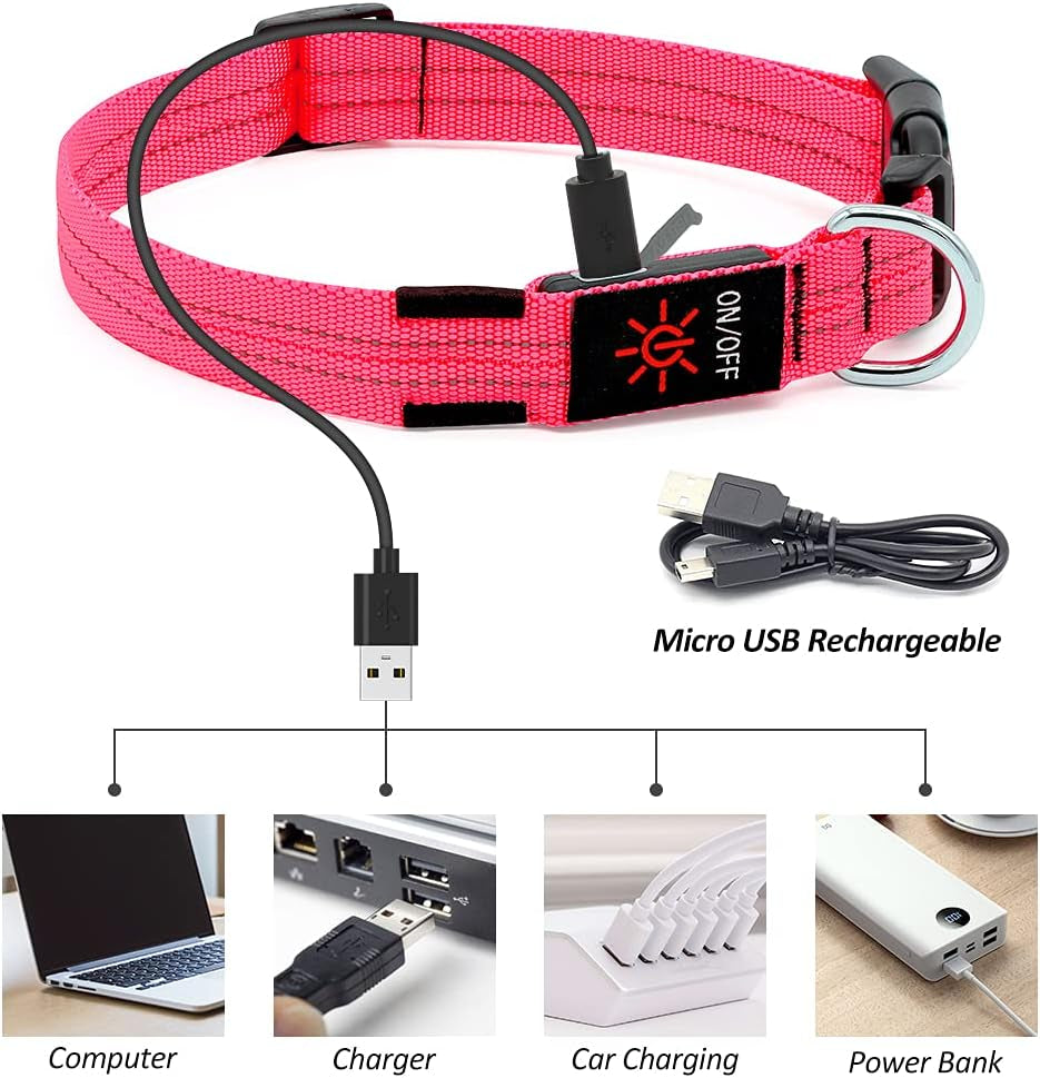 Led Dog Collar, Rechargeable Light up Collar, Waterproof Flashing Light Basic Dog Collars, Super Bright Night Safety (Pink, S)