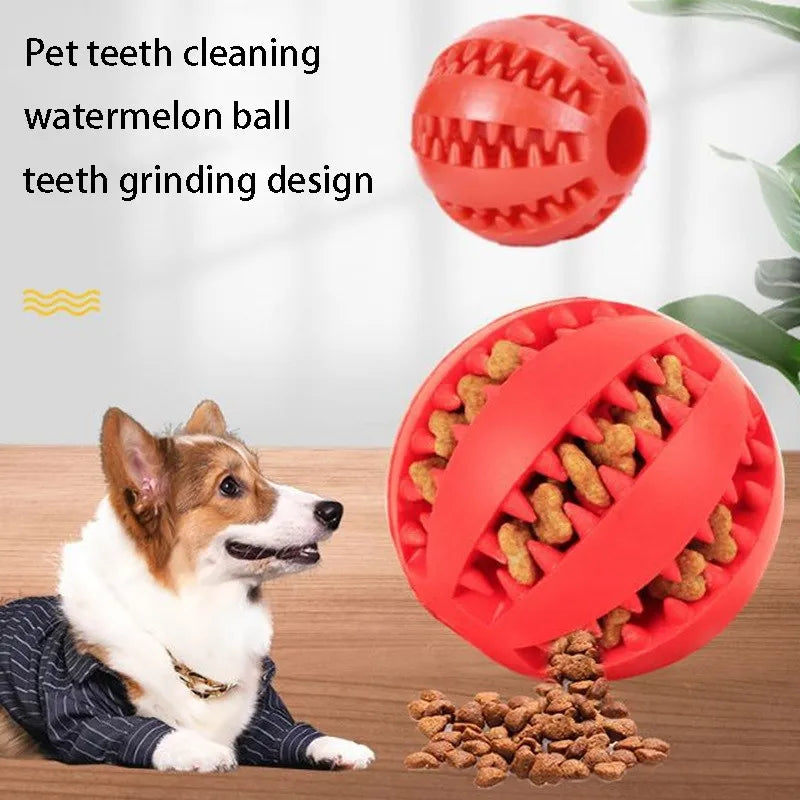 Rubber Pet Dog Toys Dog Chew Toys Tooth Cleaning Treat Ball Extra-Tough Interactive Elasticity Ball for Pet Accessories