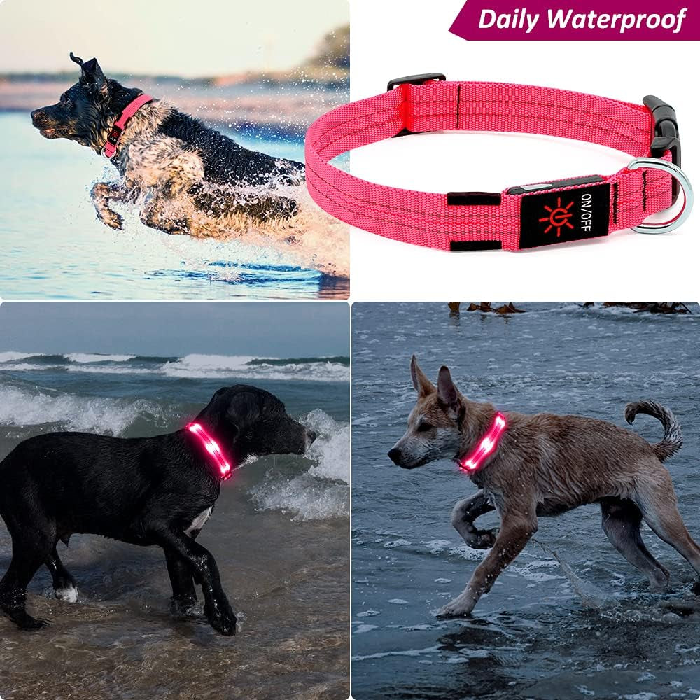 Led Dog Collar, Rechargeable Light up Collar, Waterproof Flashing Light Basic Dog Collars, Super Bright Night Safety (Pink, S)