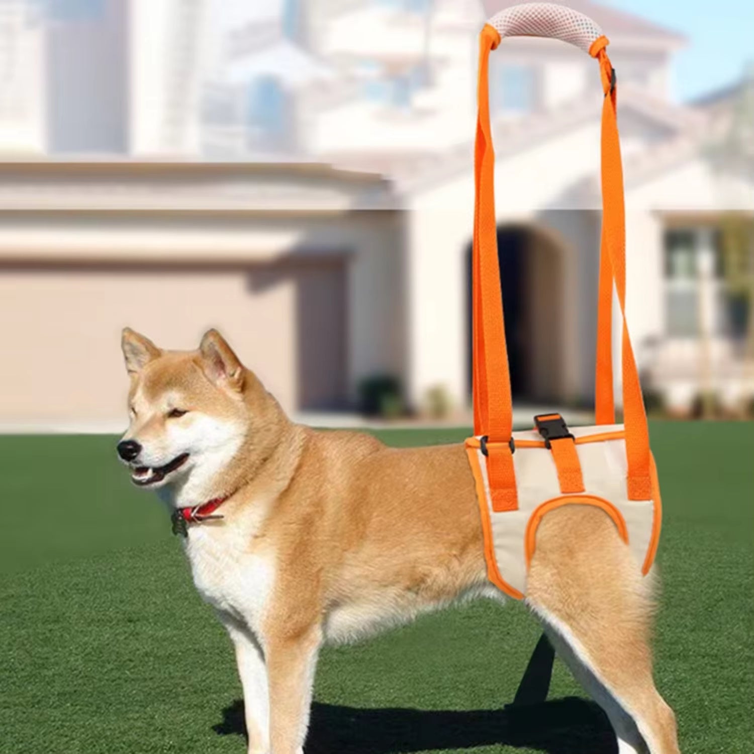 Adjustable Dog Sling Back Legs Support Pet Accessories Canine Aid and Ligament Rehabilitation Dog Lift Harness