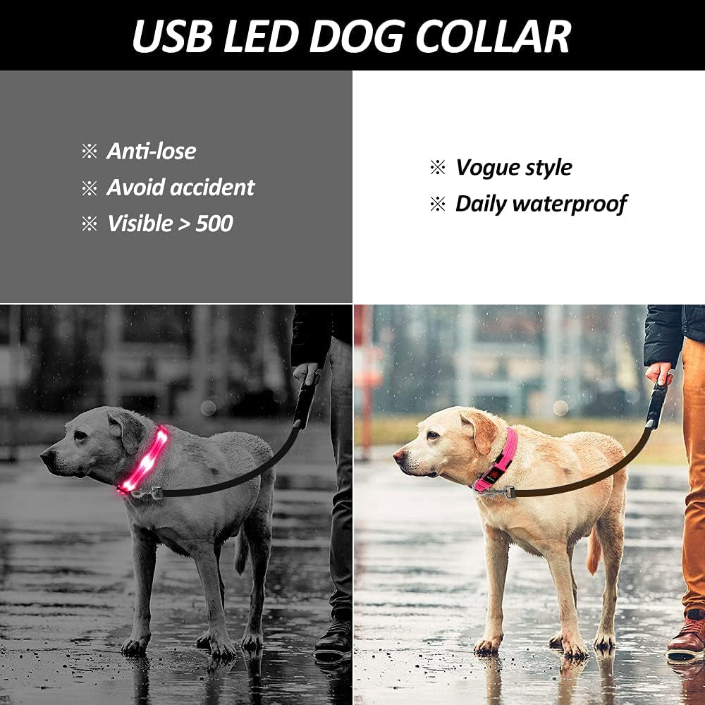 Led Dog Collar, Rechargeable Light up Collar, Waterproof Flashing Light Basic Dog Collars, Super Bright Night Safety (Pink, S)